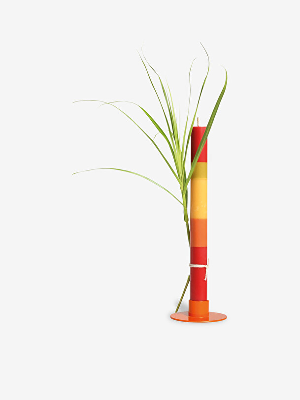 hydrensia candela multicolore