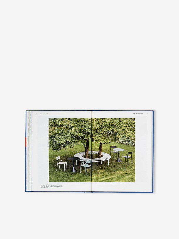 livre fieno phaidon - fieno blu