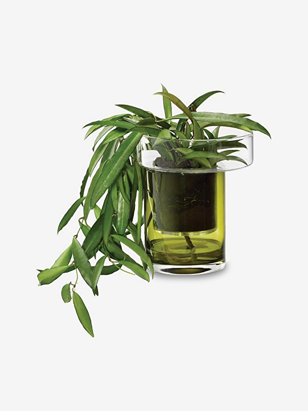 piccola riserva di acqua pot h35 d26 verde