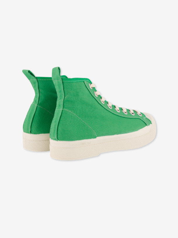 stella b79 donna colibri
